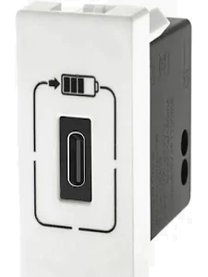 Pial Plus 04
